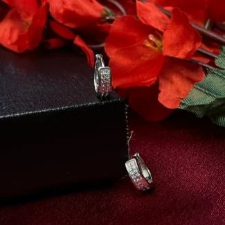 Elegant Crystal Hoop Earrings