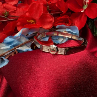 Elite Center Plate Silver Bracelet for Men